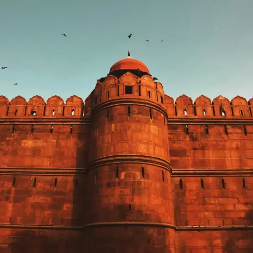 Flower Preservation Delhi