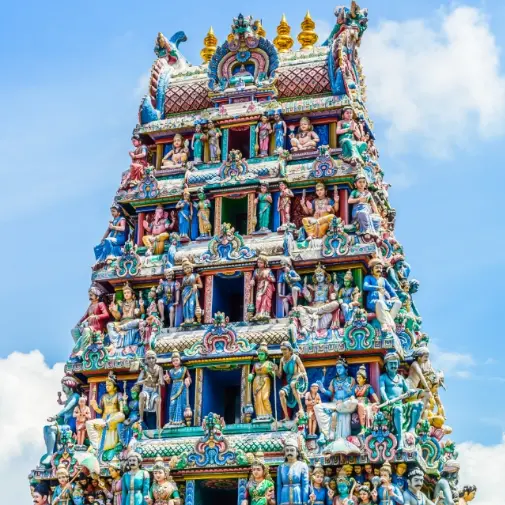 Flower Preservation Chennai