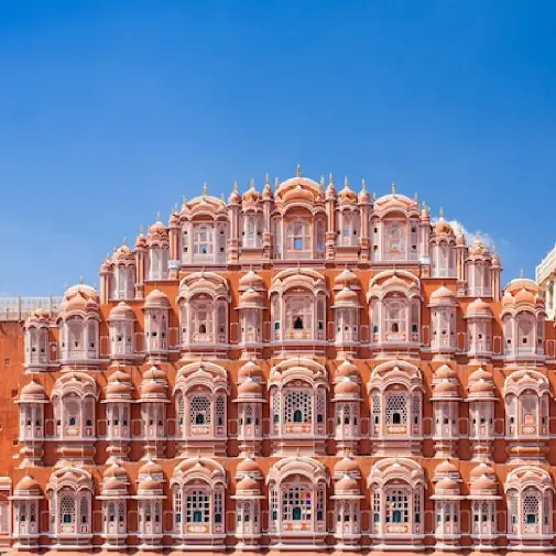 Flower Preservation Jaipur