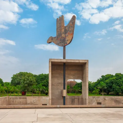 Flower Preservation Chandigarh