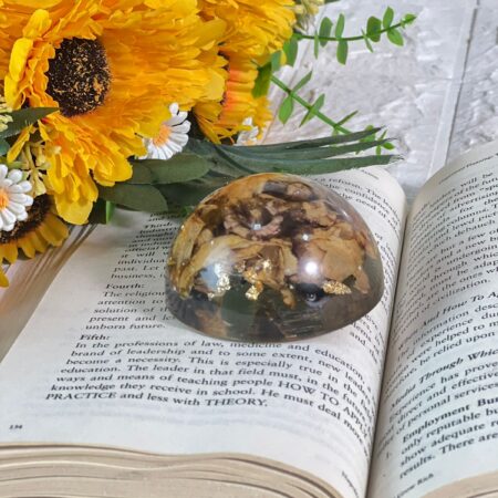 Custom flower preserved resin globe