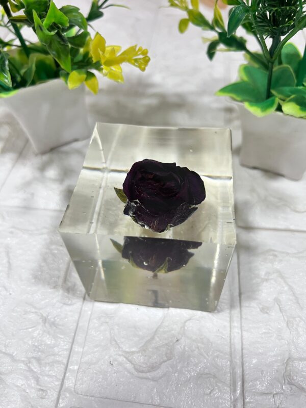 flower preservation in resin