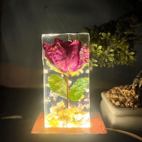 handmade resin preserved LED lamp