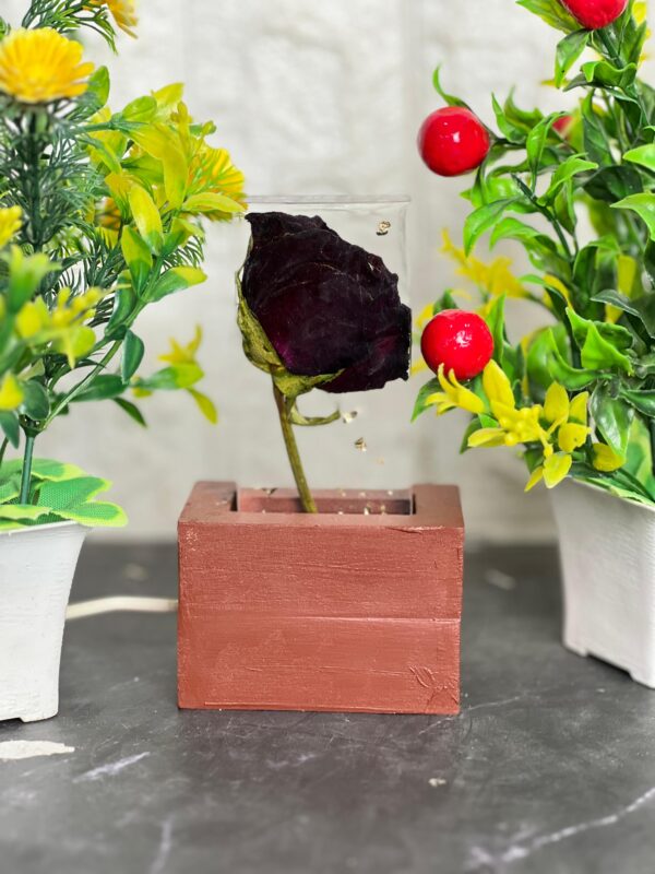 lamp with preseved valentine’s day rose