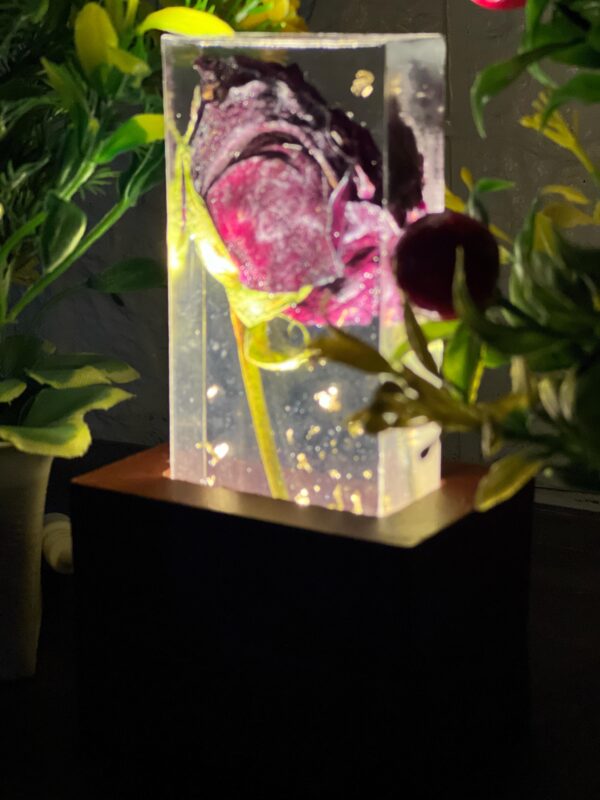 preserved rose LED lamp for girlfriend