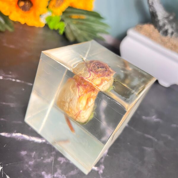 resin cube with varmala flowers