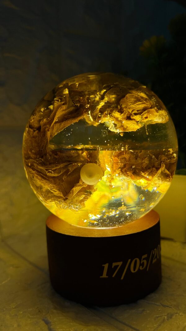 resin preserved LED lamp