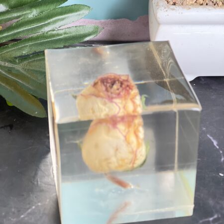 resin preserved varmala flower