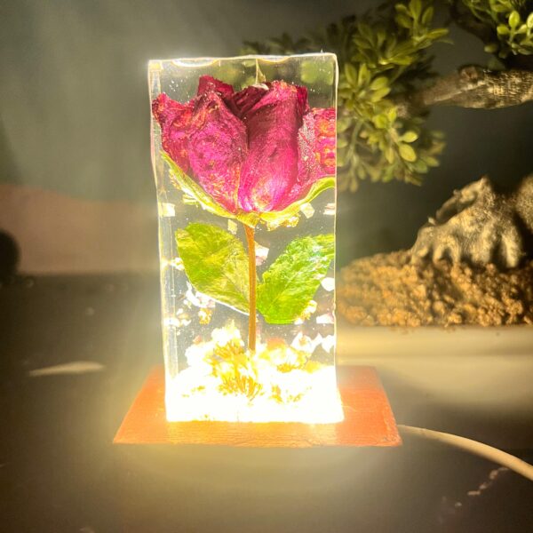 rose preserved LED lamp