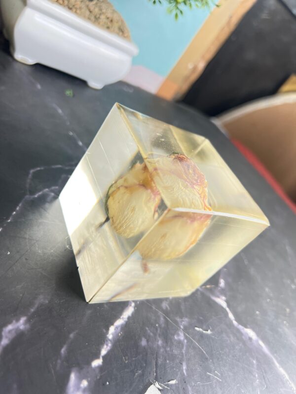 rose preserved resin box