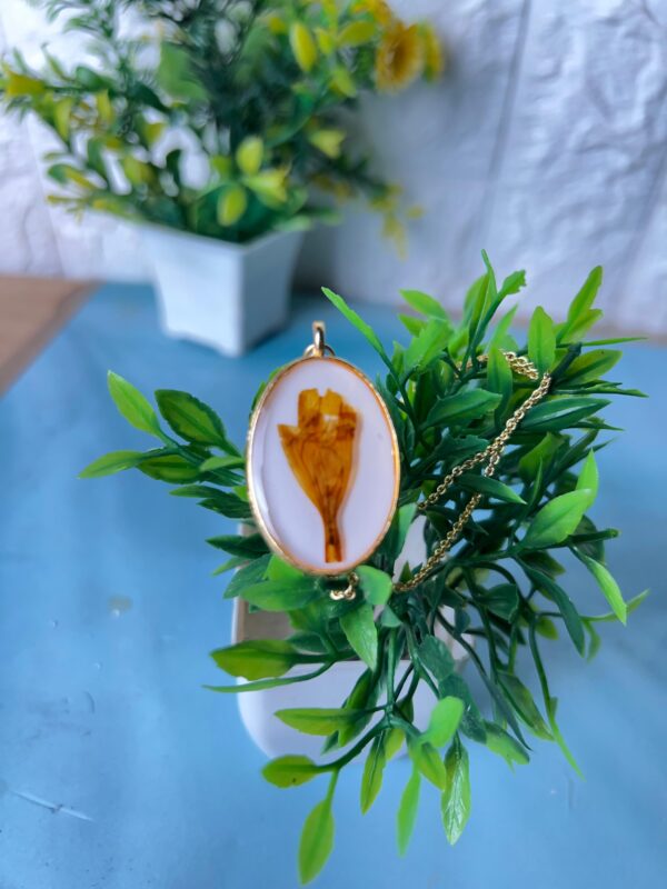 rose preservation ideas
